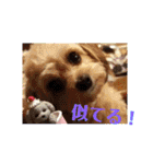 you and moco love（個別スタンプ：13）