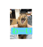 毎日楽しいそらくん5（個別スタンプ：3）
