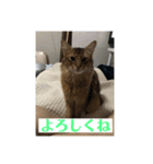 毎日楽しいそらくん5（個別スタンプ：4）