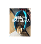 毎日楽しいそらくん6（個別スタンプ：1）