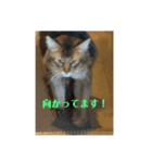 毎日楽しいそらくん6（個別スタンプ：4）