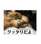 毎日楽しいそらくん6（個別スタンプ：6）