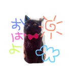 ひなたとエリザベス（個別スタンプ：1）