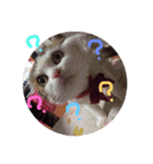 ひなたとエリザベス（個別スタンプ：6）