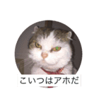 ひなたとエリザベス（個別スタンプ：8）
