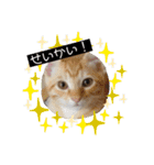 まろんとミケルソン（個別スタンプ：17）