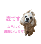 むぎむぎ♡スタンプ（個別スタンプ：1）