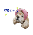 むぎむぎ♡スタンプ（個別スタンプ：14）