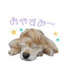 むぎむぎ♡スタンプ（個別スタンプ：18）