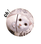 トラとシロ①（個別スタンプ：8）