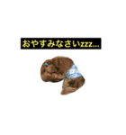 マックスオリジナルスタンプ（個別スタンプ：1）