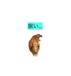 マックスオリジナルスタンプ（個別スタンプ：4）