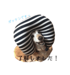 るぴちゃんスタンプ（個別スタンプ：4）