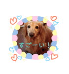 るぴちゃんスタンプ（個別スタンプ：8）