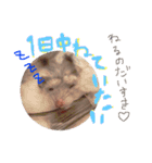 かわかわふくちゃんスタンプ（個別スタンプ：2）