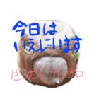 かわかわふくちゃんスタンプ（個別スタンプ：9）