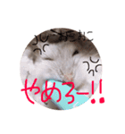 かわかわふくちゃんスタンプ（個別スタンプ：10）