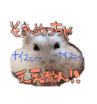 かわかわふくちゃんスタンプ（個別スタンプ：14）
