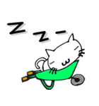 ネコ猫キャット（個別スタンプ：34）