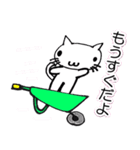 ネコ猫キャット（個別スタンプ：36）
