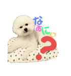 かわいいことちゃん（個別スタンプ：4）