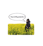 【美容師】杉山スタンプ（個別スタンプ：16）