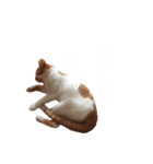 ネコぽん_J1（個別スタンプ：32）