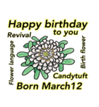 3月、誕生日ごとの誕生花、花言葉。（個別スタンプ：12）
