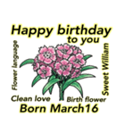 3月、誕生日ごとの誕生花、花言葉。（個別スタンプ：16）