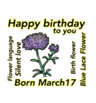 3月、誕生日ごとの誕生花、花言葉。（個別スタンプ：17）