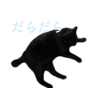 発見！地域猫（個別スタンプ：21）