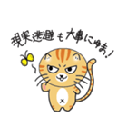 語尾が「にゅま」の猫（個別スタンプ：7）