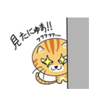 語尾が「にゅま」の猫（個別スタンプ：13）