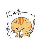 語尾が「にゅま」の猫（個別スタンプ：18）