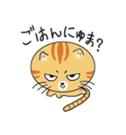語尾が「にゅま」の猫（個別スタンプ：19）