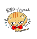 語尾が「にゅま」の猫（個別スタンプ：39）