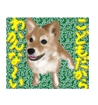 柴犬はるなちゃん かわいいぬスタンプ（個別スタンプ：7）