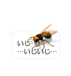 スマホの上のスズメバチ（個別スタンプ：10）