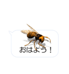 スマホの上のスズメバチ（個別スタンプ：21）