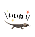 アカメカブトトカゲのあかまる（個別スタンプ：3）