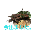 アカメカブトトカゲのあかまる（個別スタンプ：9）