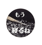 アカメカブトトカゲのあかまる（個別スタンプ：14）