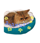 猫のオリーヴちゃん（個別スタンプ：2）