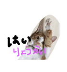 やじろうくんPart1（個別スタンプ：1）