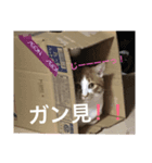 やじろうくんPart1（個別スタンプ：3）