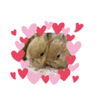 ミル！！！！（個別スタンプ：3）