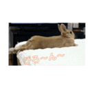 ミル！！！！（個別スタンプ：8）