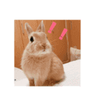 ミル！！！！（個別スタンプ：10）