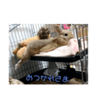 ミル！！！！（個別スタンプ：12）