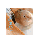 ミル！！！！（個別スタンプ：13）